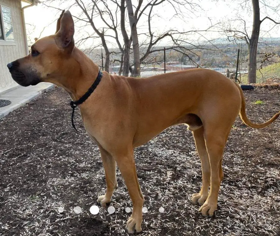 Galileo Of Sage Mountain