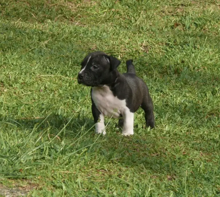 MDK TEAM Tacoma's Spirit