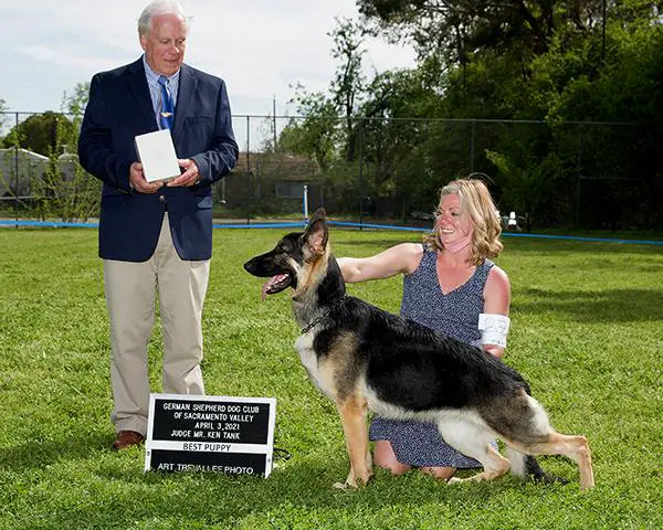 Windcrest's Reckless Obsession