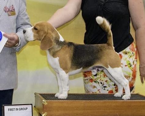 Allegro’s Lucky Number Slevin