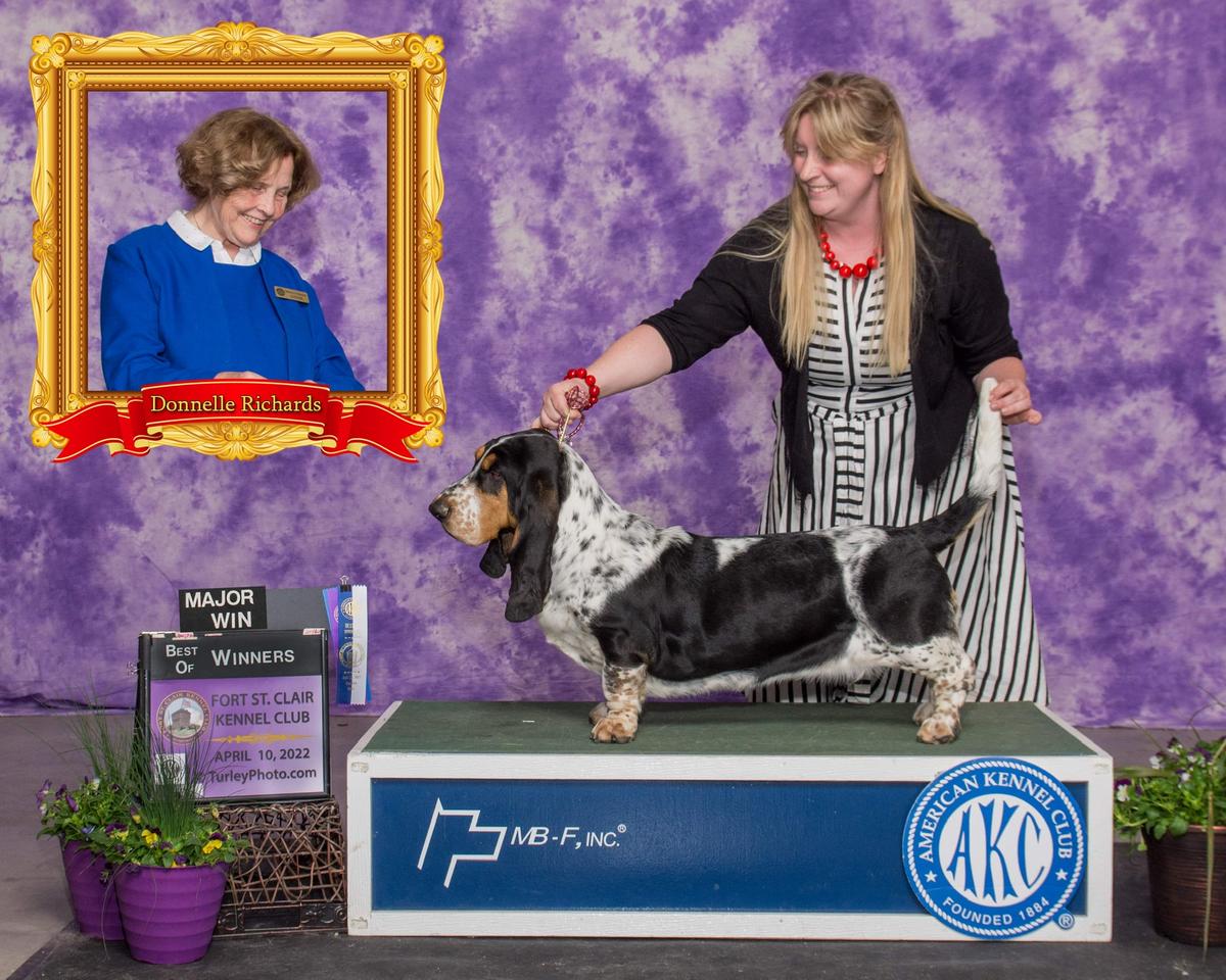 Honeymoons Lunar Eclipse