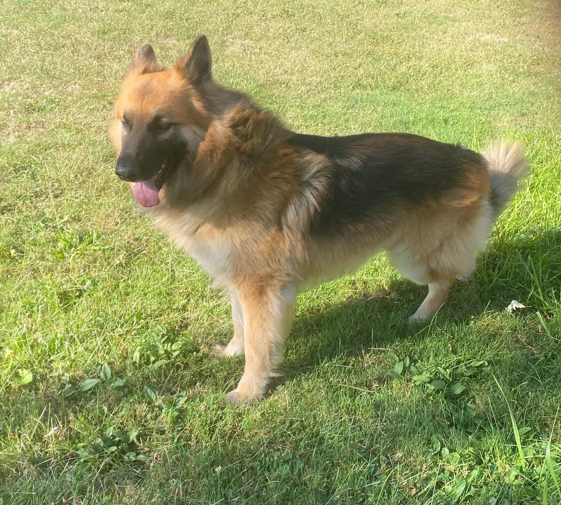 Thor Vindeisel Bickley