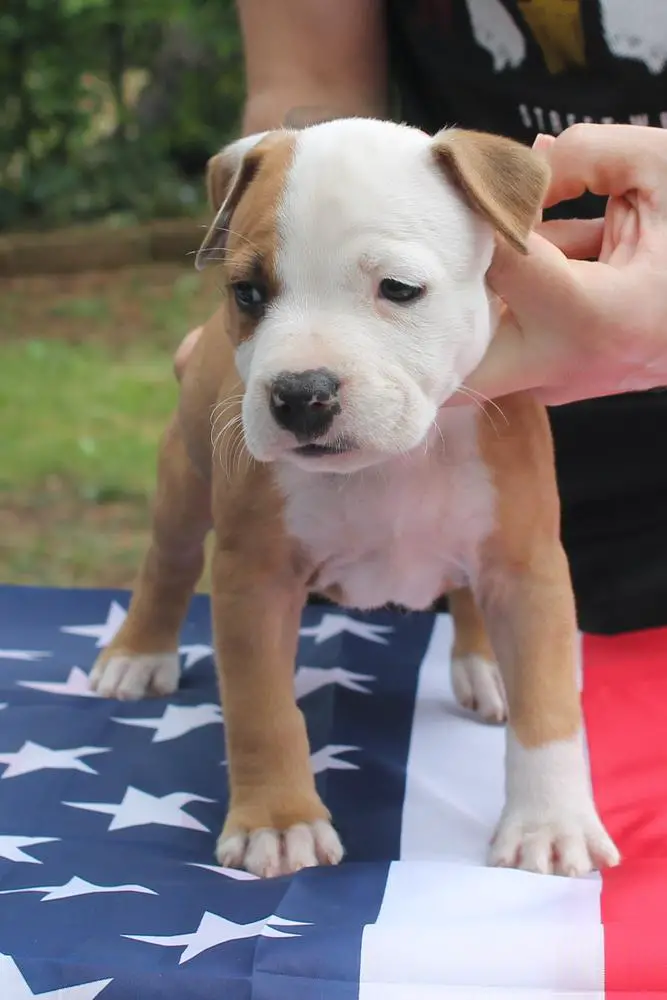 Moon Rock Landi's Change for the Better