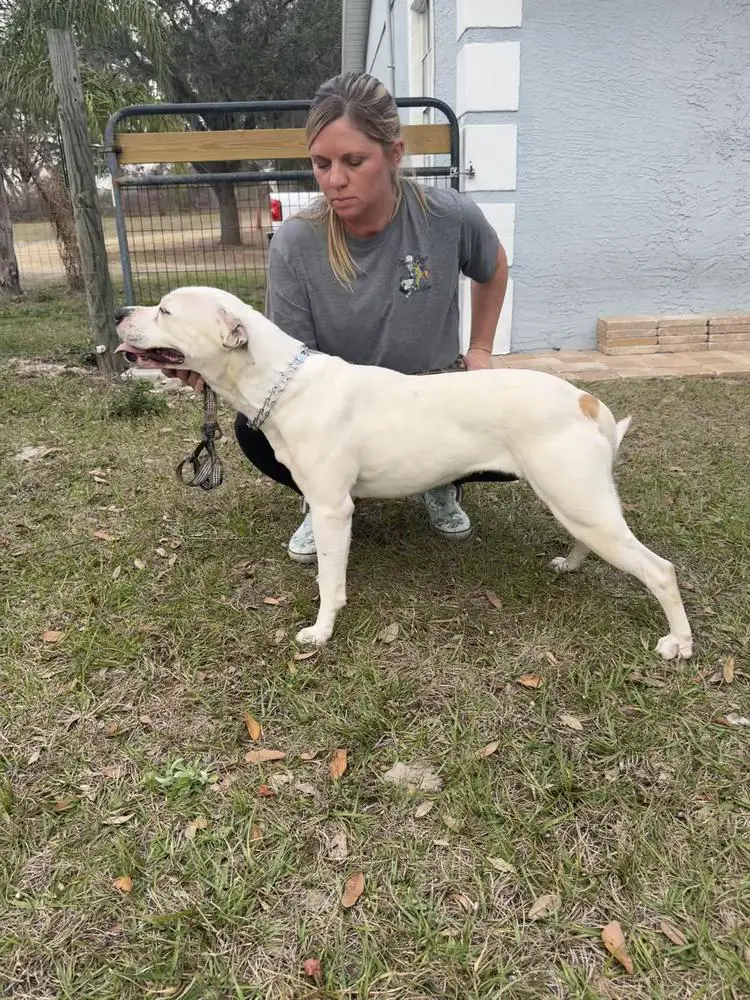 Sunshine’s Siren of KLK