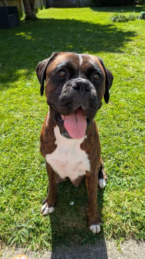 Technicolorboxers Ruby Rose