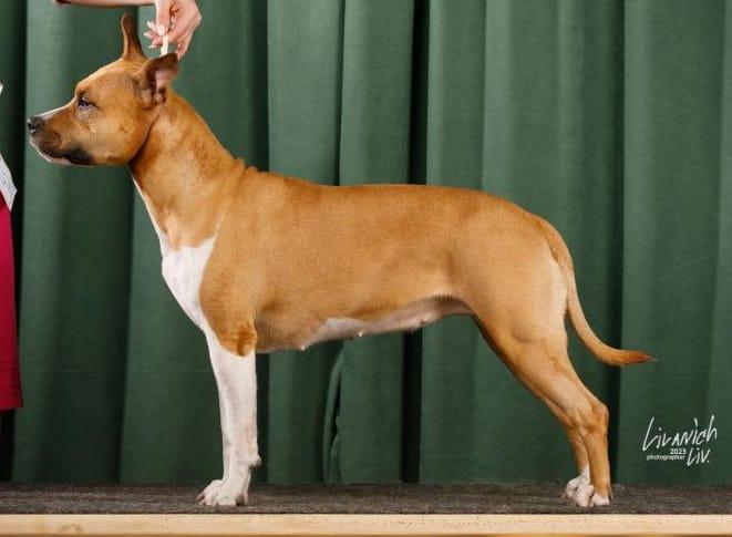 De Paco XZ You Rock My World