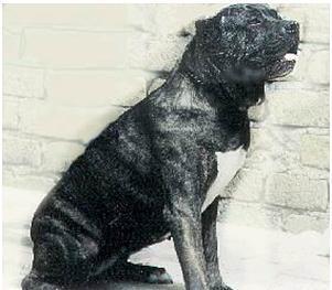 Ch.rip NAOMI (AG95L5164)(1995)