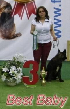 3rd IN SHOW PUPPY HUNDAY