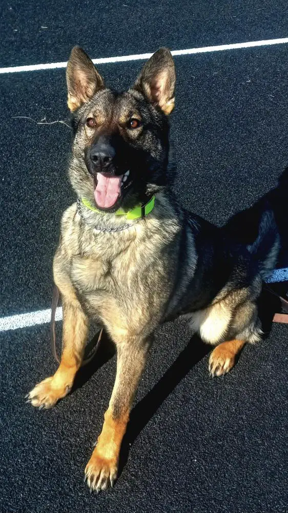 Akura From The White Stream