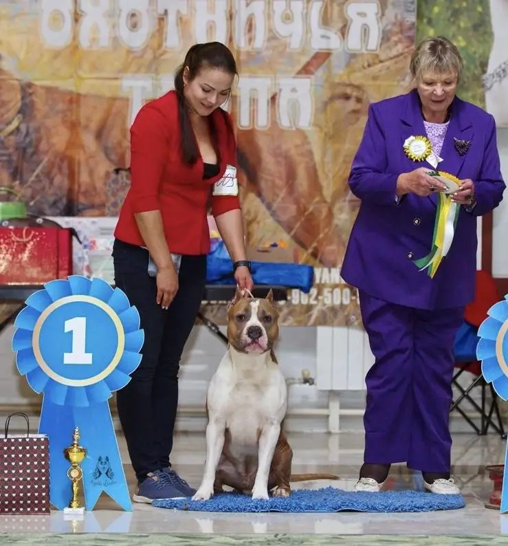 TAIGER LAND LOCKHEED MARTIN