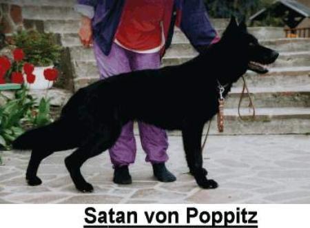 Satan vom Poppitz