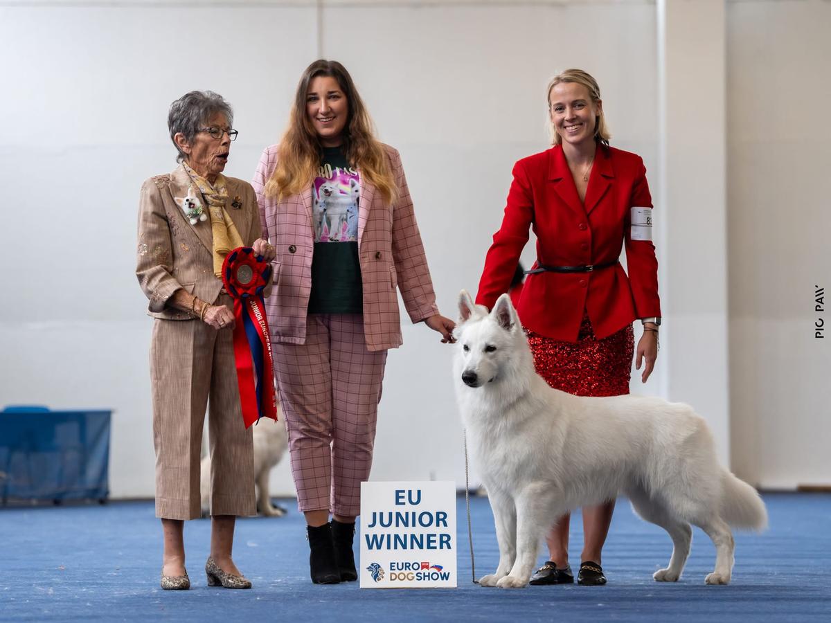 JEuWin, JBest in Speciality Show x2, JCH CRO,POL,CZE Clockwork Shepherd Fargo