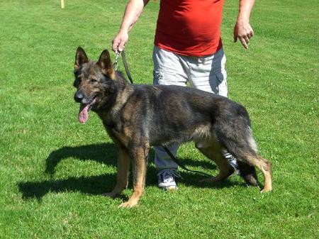 V Ebro von der Adelegg