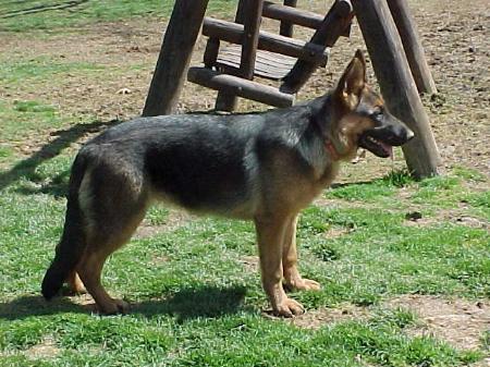 Cathy del Mare Adriatico