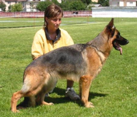 VA3 (SLOVAKIA) Flo vom Lichtetal