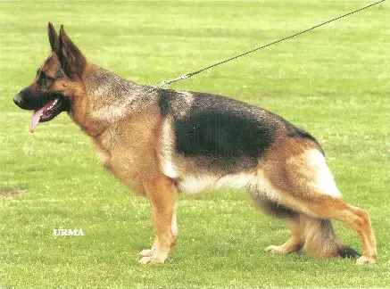 V Ronja von der Bottroper Grenze