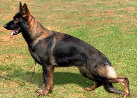 Nice vom Haus Vortkamp