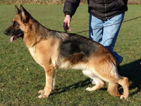 V Minou zu den drei Wieken