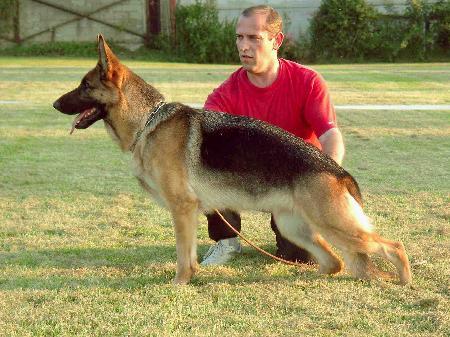 V Alexie von der villa musica