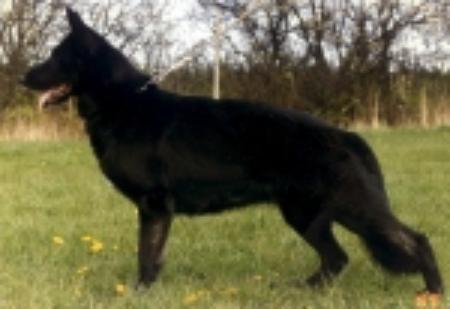 G Jahsra von Karthago