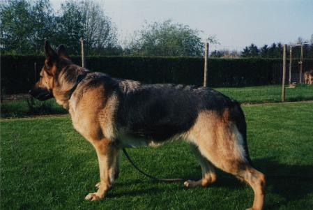 Raisa van Drie Eyckenbos