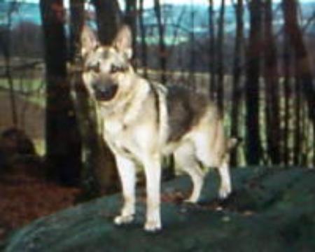 Pia von der Ottilienau