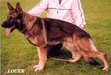 G Jumbo vom Klüttenplatz