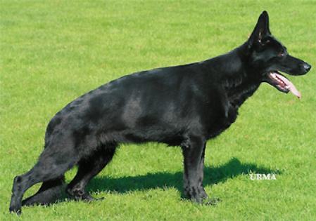 V Vina von der Emsaue