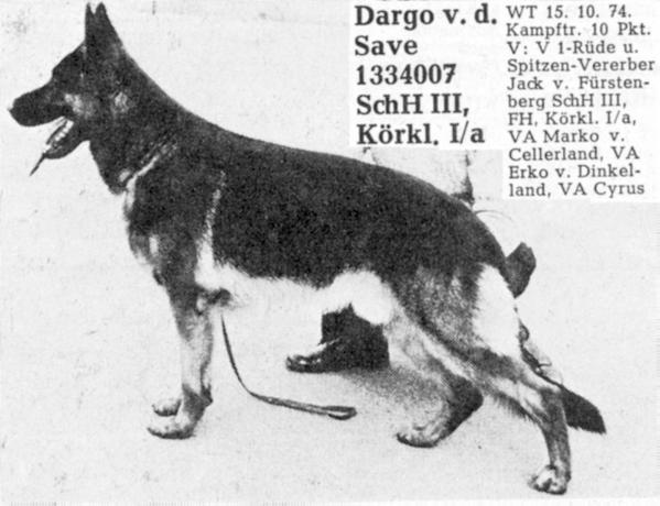V Dargo von der Save