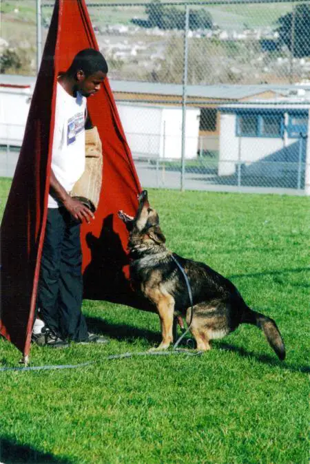 Just Judd Vom Haegely