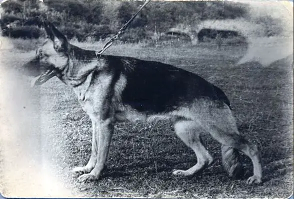 Fina von der Weihergärten