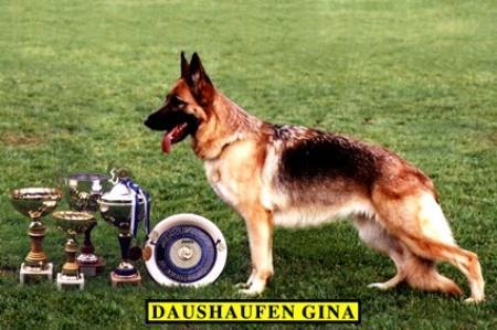 V (FIN) Daushaufen Gina