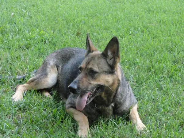 Palma Von Haus Gleisdreieck