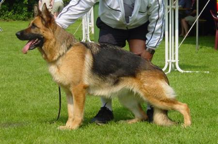 VA (BEL/ESP/WDA) Xitte van het Paulushof