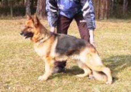 V Indra vom Sandstein