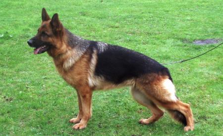 V51 BSZS 2007 Maxi von der Waterkant