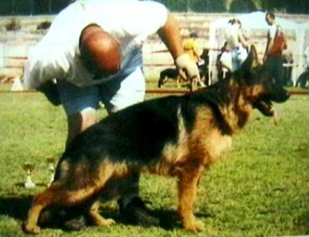 Ulisse di casa Mondelaco