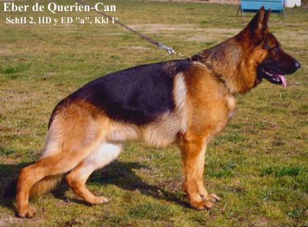 Eber de Querien-Can