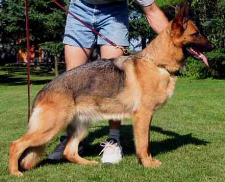 SG IPO1 Dunja von Bellus