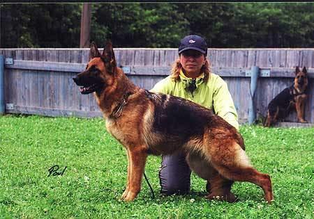 V(RUS),CH RUS,RSVNO Aurum Aglis Verona