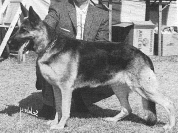 CH (US) Iris von Brechten