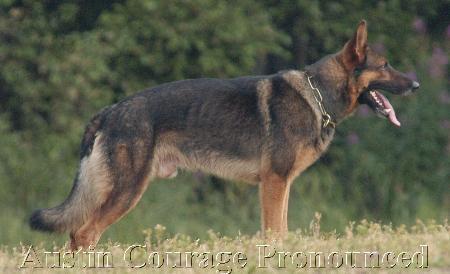 Austin Courage Pronounced