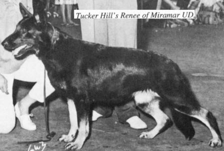 Tucker Hill's Renee of Miramar
