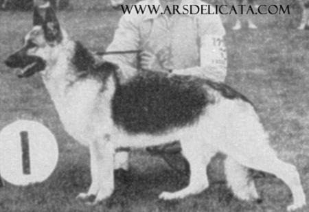 CH (US) Dunja v Wierautal