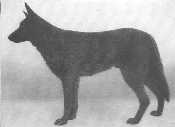 Sigmund von Hohen-Esp