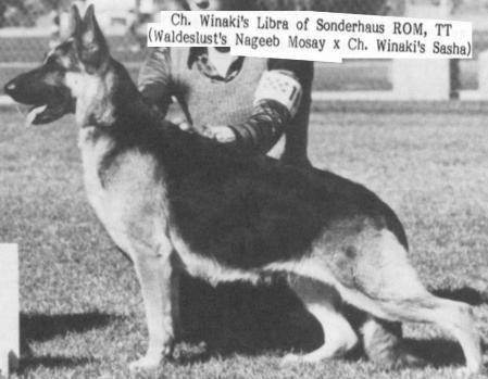 CH Winaki's Libra of Sonderhaus