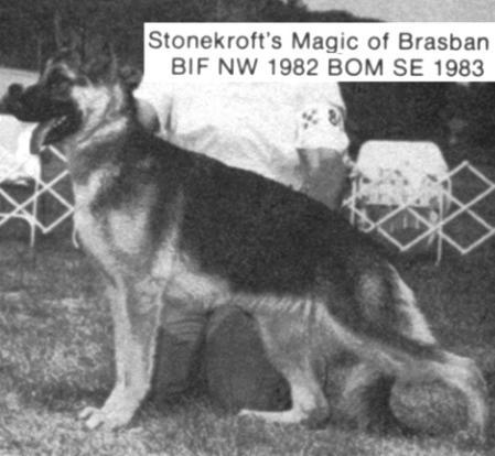 CH (US) Stonekroft's Magic v Brasban