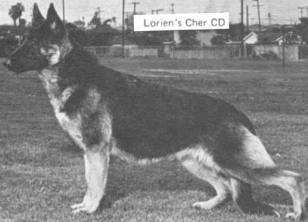 Lorien's Cher