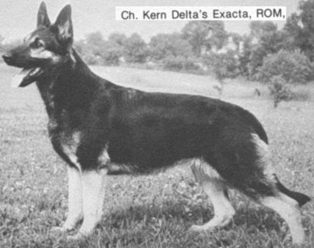 CH (US) Kern Delta's Exacta