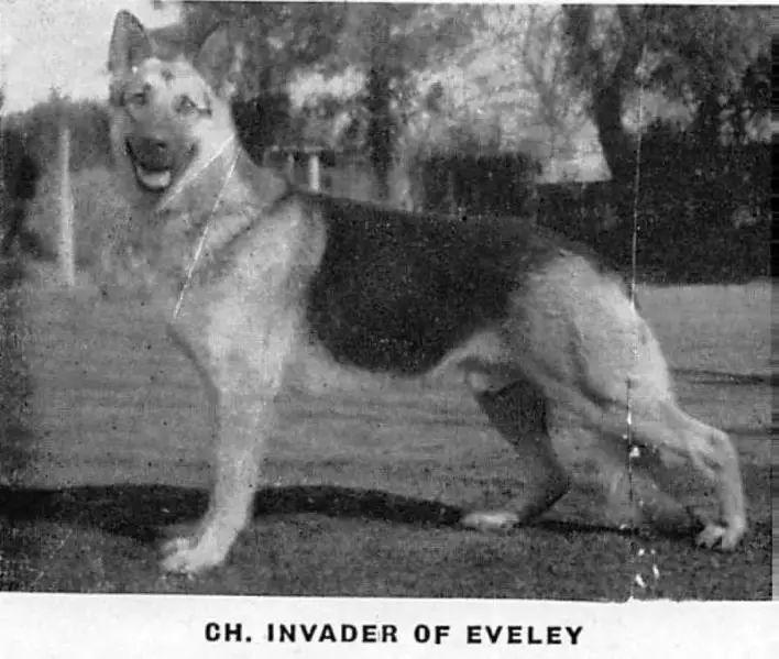 UK&US.CH. Invader of Eveley